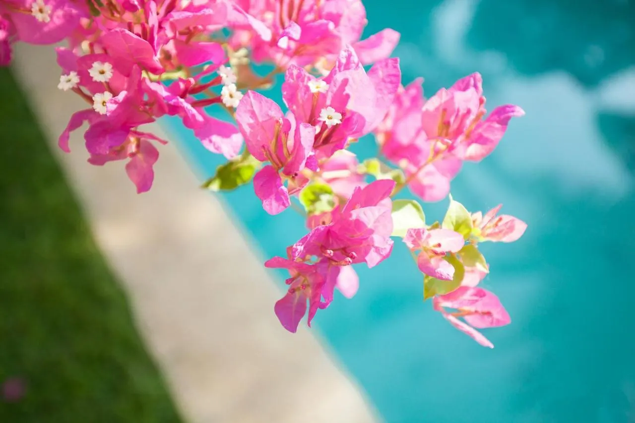 The Bingin Beach Villas' Private Villas Uluwatu